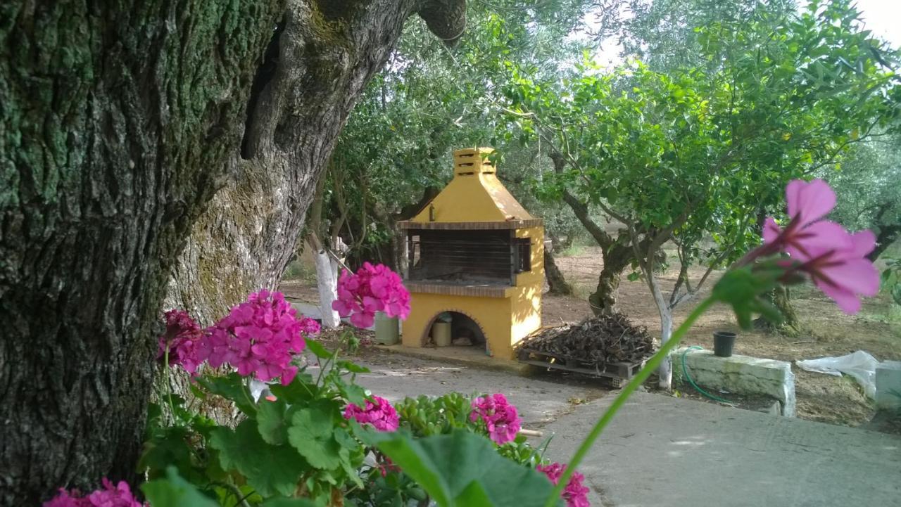 الشقق الفندقية Plánosفي  Casa Dyonisia Tsilivi المظهر الخارجي الصورة