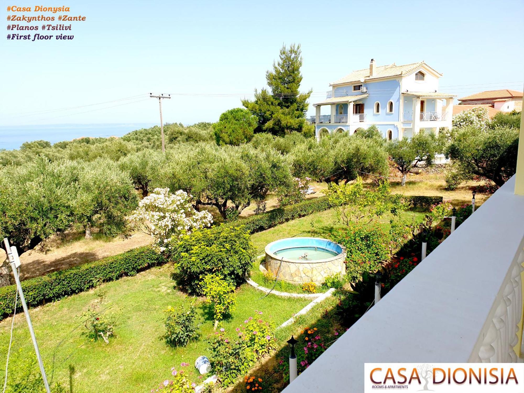 الشقق الفندقية Plánosفي  Casa Dyonisia Tsilivi المظهر الخارجي الصورة