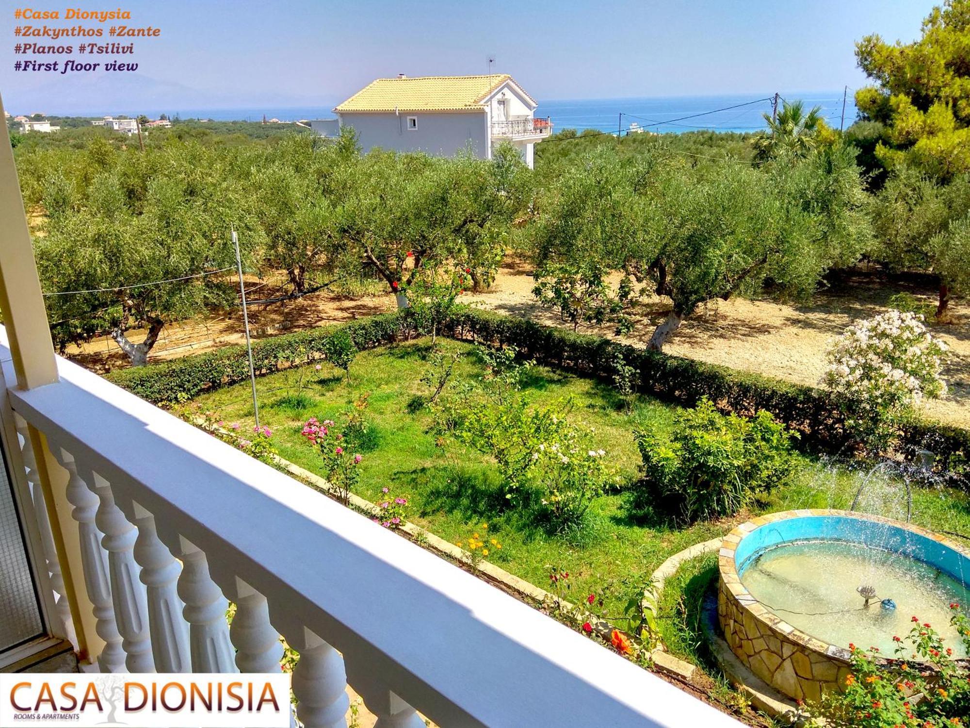 الشقق الفندقية Plánosفي  Casa Dyonisia Tsilivi المظهر الخارجي الصورة